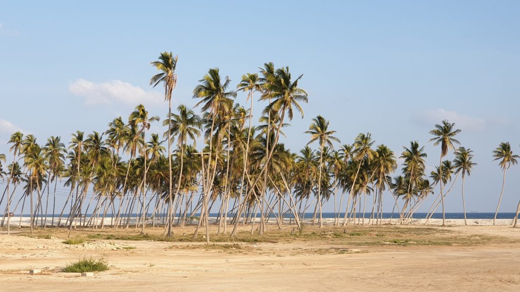 Haffa Beach Salalah